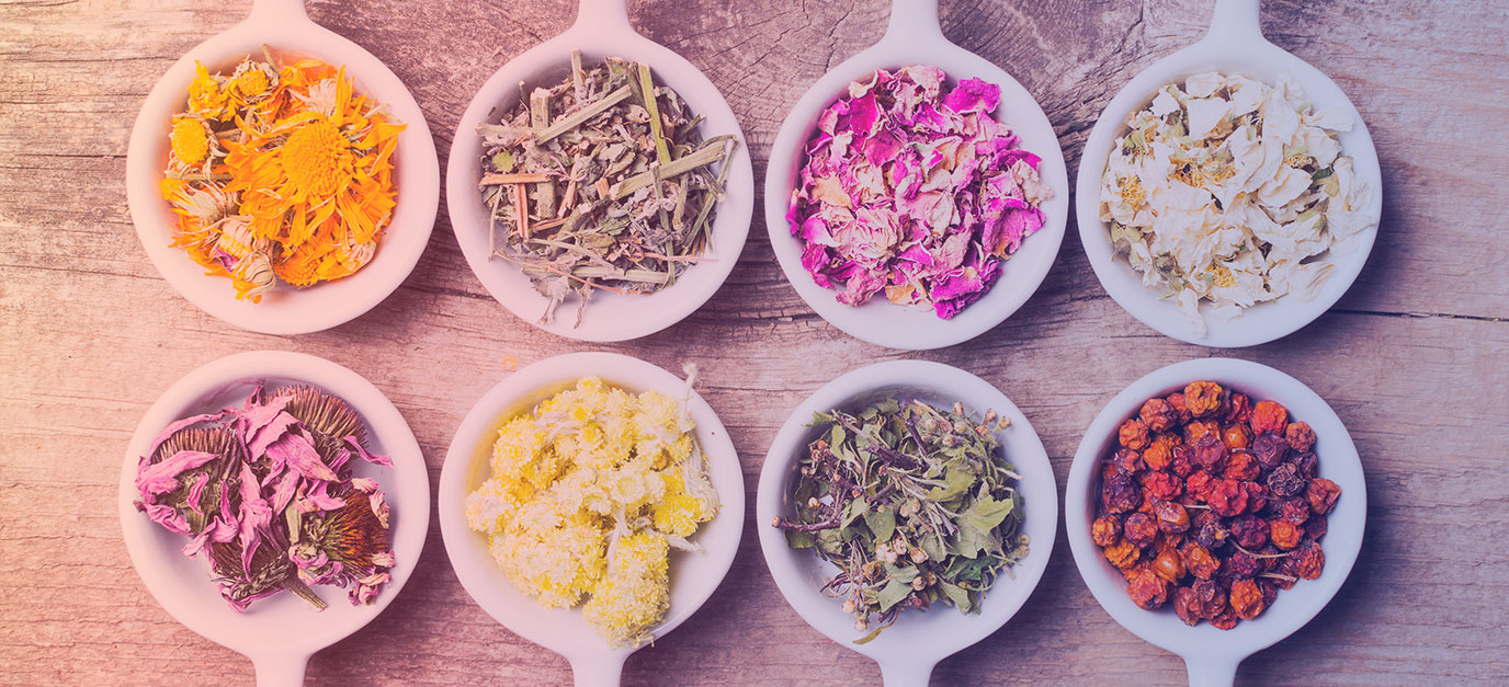 Hierbas medicinales, un gran aliado para una longevidad saludable